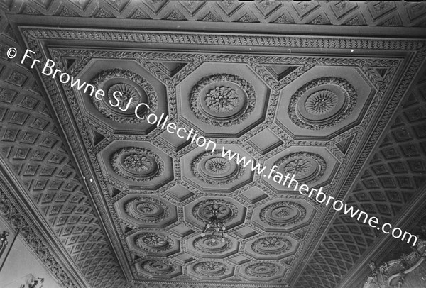 CEILING OF SALOON